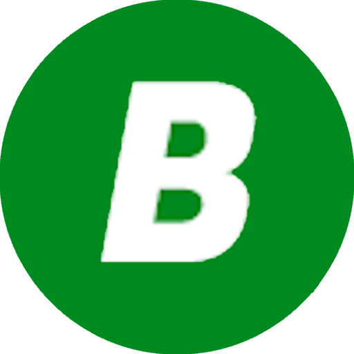 big sites favicon